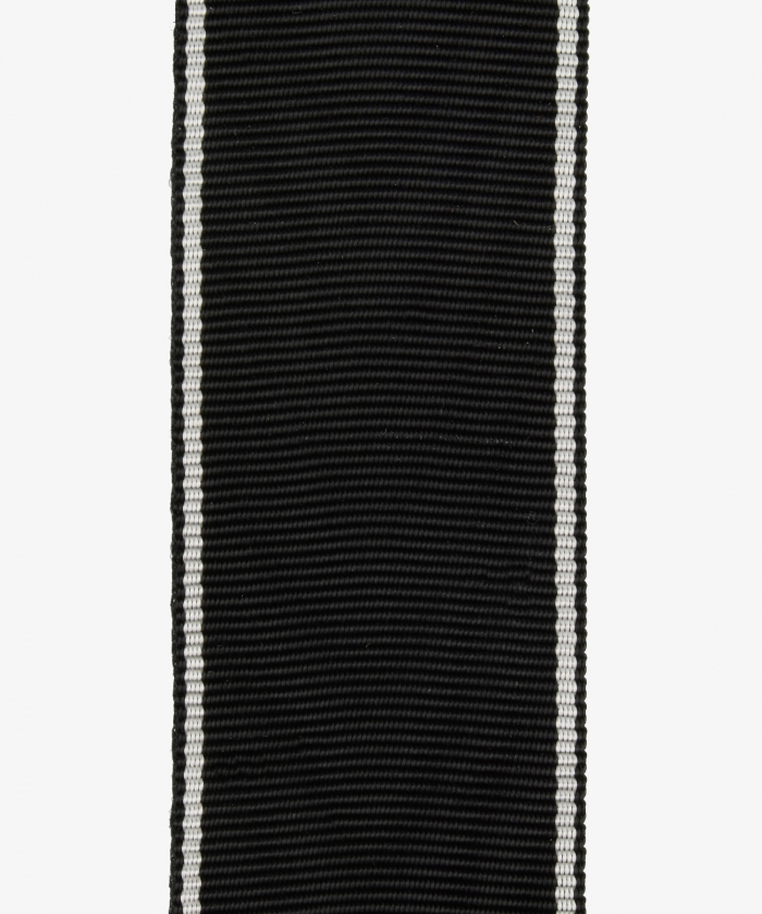 Freikorps, Iron Division medal (22)